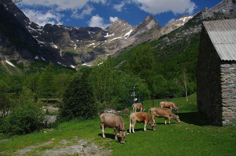 Bungalows Pena Montanesa 아인사 외부 사진